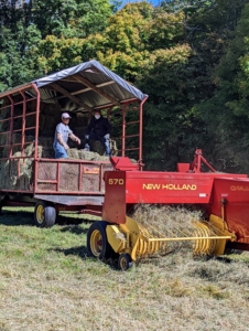 A baler is a piece of farm machinery used to compress a cut and raked crop into compact bales that are easy to handle, transport, and store.