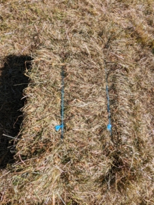 Here is a closer look at the "square" of hay. My hay is a mixture of timothy, orchard grass, Kentucky bluegrass, ryegrass, and clovers – all great for my horses.