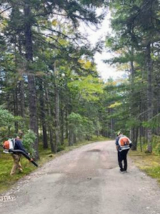 And here it is as the stone is blown and gathered. Peter Grubb and Amos Price are both using our trusted STIHL backpack blowers - another piece of equipment I've been using for many years at Skylands and at my Bedford, New York farm. The gravel is blown to the center – one operator on each side.