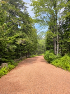 This is what my driveway looks like in summer, when all the pink granite gravel covers the roads. Each of the carriage roads is 12-feet across, and is covered with at least a couple inches of the crushed stone.