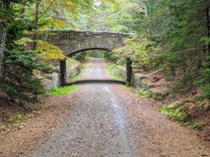 This is the Jordan Pond Bridge built in 1920. This carriage road bridge is 85 feet long, 19.5 feet tall, and may still have some of Beatrix Cadwalader Farrand’s plantings surrounding it. Beatrix was a landscape gardener and architect whose career included commissions to design more than 100 gardens for private residences, estates and country homes, public parks, botanic gardens, college campuses, and the White House.