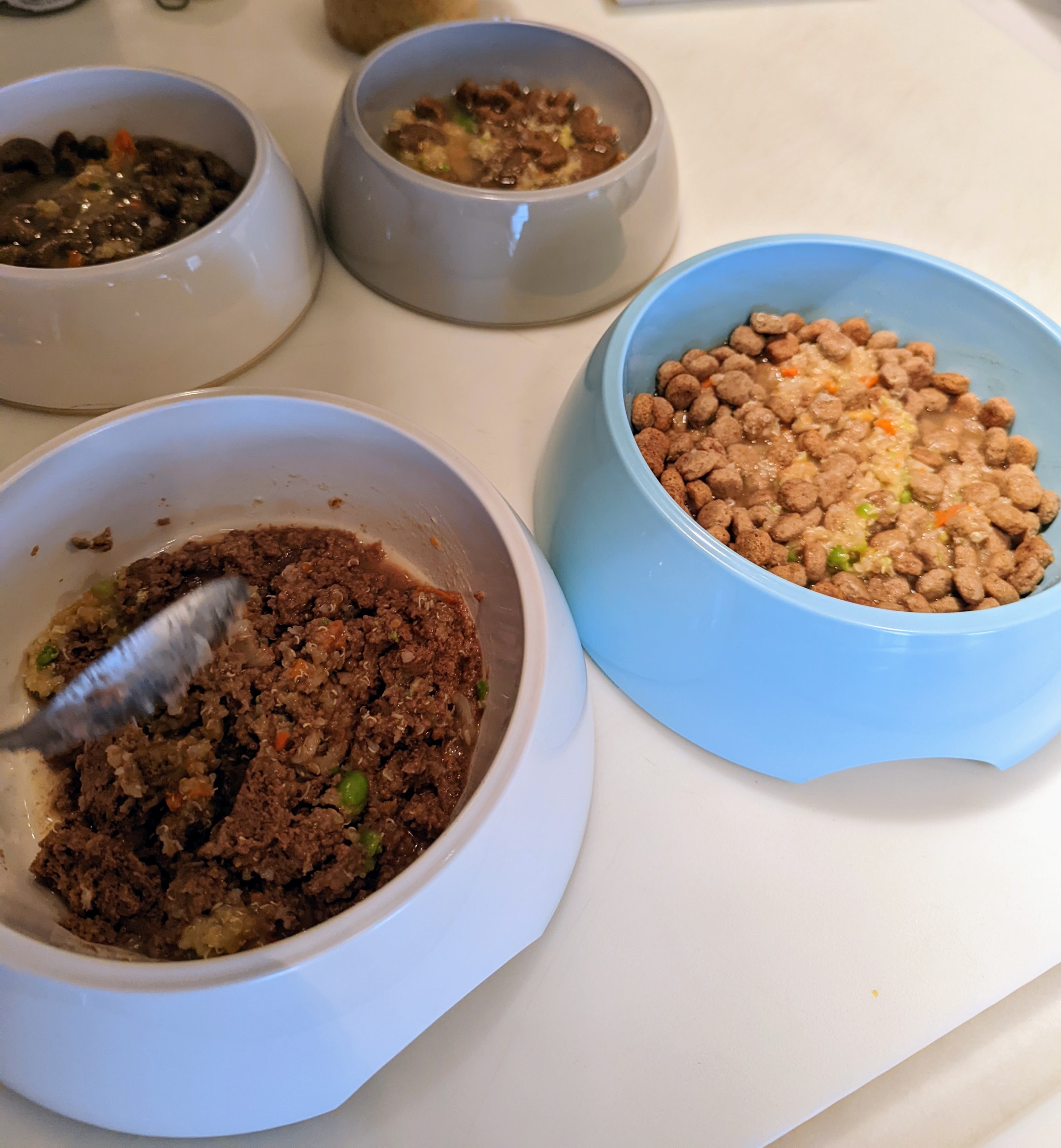 Preparing Food for My Dogs - The Martha Stewart Blog