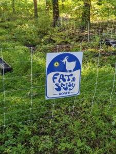 Fat & Sassy covers the Westchester, New York area. Owners Jenn and Don are professional goat graziers who actively manage a herd of more than 75-goats to reduce undesirable vegetation. Before the goats were released, Jenn and Don put up a temporary fence to keep the goats enclosed and safe.