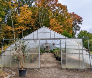 As soon as the hoop house is fully covered, my outdoor grounds crew begins our annual process of storing all the warm weather plants. This greenhouse works by heating and circulating air to create an artificial tropical environment.