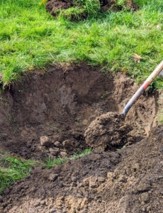 The hole sides should also be slanted. Digging a wide planting hole helps to provide the best opportunity for roots to expand into its new growing environment.