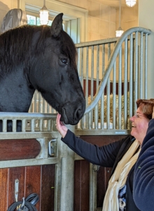 Among the first stops - my stable, to see the Friesians, my Fell pony, and the five Sicilian donkeys. Bond seems to enjoy meeting everyone who stops by his stall.