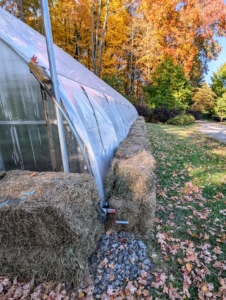 The outside is insulated with bales of hay. I grow a lot of hay here at the farm. The good, dry bales for my horses are kept in the stable hayloft; the bales that my horses won’t eat are saved and used to help winterize the hoop houses and dahlias.