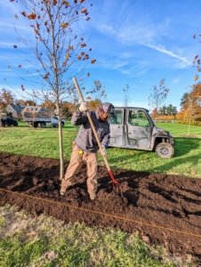 Chhiring uses a hard rake to spread and level the mulch.