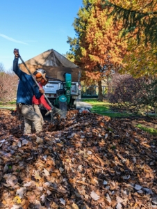 Once the leaves are blown into a manageable pile, they directed to the opening of this vacuum tube connected to our dump truck. The leaves are then taken to the compost area, where they will decompose and get used again as mulch next year.
