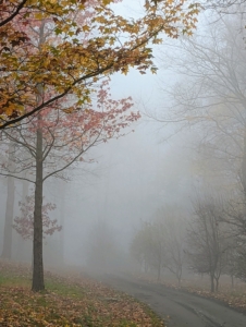 And don't confuse fog and mist. Fog is denser than mist. This means fog contains more water molecules in the same amount of space. Fog cuts visibility down to six-tenths of a mile while mist can reduce visibility to about one to 1.2 miles.
