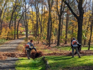 Leaf blowers are noisy, but they are the most effective for gathering the bulk of leaves into large piles.