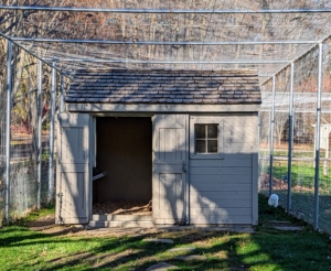 This coop is used for my Silkie Chickens. It is also now equipped with adequate Sweeter Heater units. The weather here at my Bedford, New York farm has been quite mild so far, but the nights are getting cooler, so I am glad our heaters are all in place to keep the birds warm.