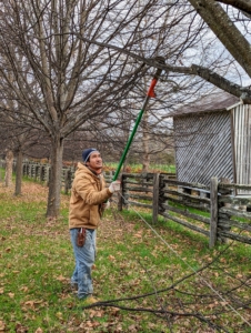 Here, Pasang uses a long-reach pole pruner to cut higher branches that are more difficult to reach.