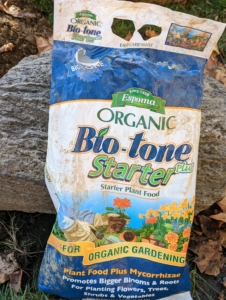 A good fertilizer made especially for new transplanted specimens should always be used. This is Organic Bio-tone Starter with mycorrhizal fungi, which helps transplant survival and increases water and nutrient absorption.