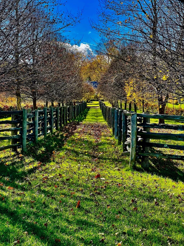 Getting Fall Chores Done Around the Farm - The Martha Stewart Blog