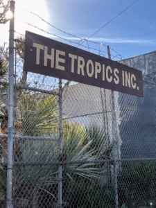 I always add The Tropics, Inc. to my list of must-see places whenever I travel to Los Angeles. It's a trove of beautiful items. Ryan’s father, Ronald J. Hroziencik, started the business selling junk at a swap meet with his college roommate. Occasionally, they would have plants to sell, and customers loved them. Now, it’s a successful establishment with a large inventory of unique and beautiful plants, containers, and more.
