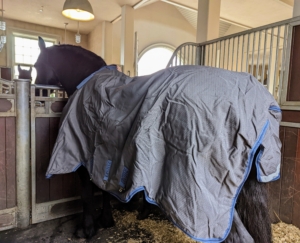 These rugs come in a variety of sizes and each of the horses in my stable is measured for precise fitting.