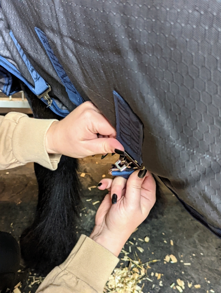 Horseware Rug Washing Keeping My Horses Warm with Turnout Rugs from Horseware Ireland - The ...