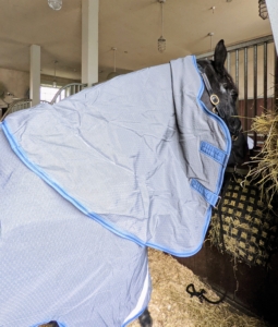 And, these rugs come with an optional, easy-to-remove hood for neck coverage.