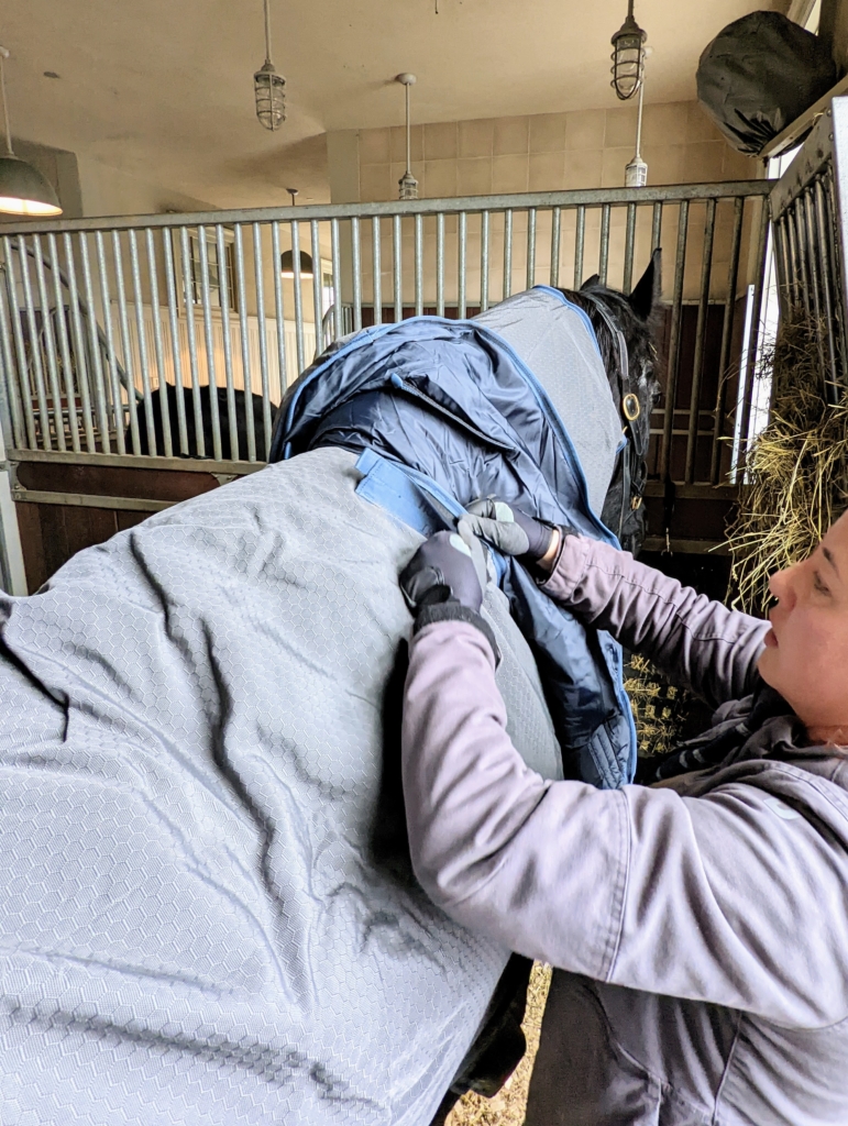 Horseware Rug Washing Keeping My Horses Warm with Turnout Rugs from Horseware Ireland - The ...