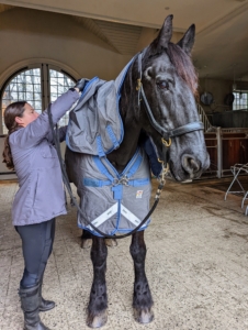 These rugs are so easy to drape over the horse and secure. It takes less than 15-minutes to get the equines ready to go out into their paddock.