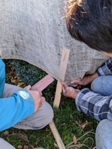 After the burlap cover is in place, Domi and Pasang pull it taut over the small stake hammered into the ground every two to three feet at the base of these specimens.