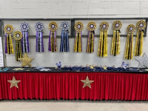 Here are some of the awards ribbons displayed on one side of the large exhibition room. The birds are judged against others of the same color, sex and age. They are also judged based on variety and breed. In the end, chickens compete against large fowl and water fowl.