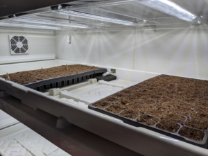 Once a tray is filled with seeds, it is placed into the Urban Cultivator.