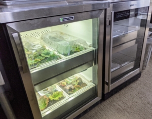 I also have two smaller Urban Cultivator residential units in the head house. These units each take up the same footprint as a dishwasher and are plumbed to water and electrical sources in the same way.