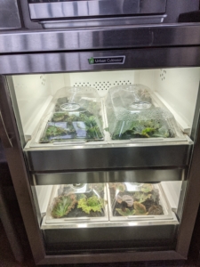 Each residential machine has two grow shelves for the seed trays. The units also have pre-set control centers to ensure plants get exactly the right amount of water, light, and humidity for what is growing inside.