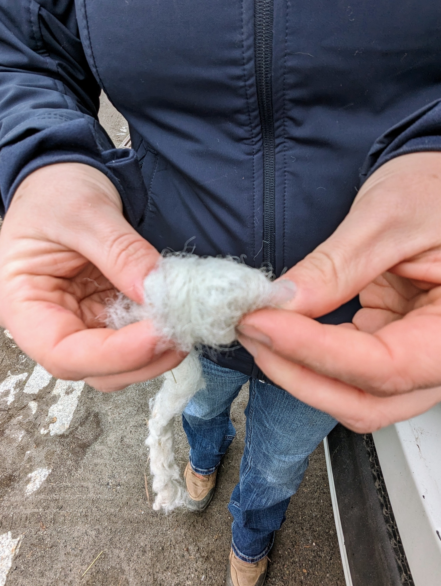 The SaddleFitter Visits the Farm The Martha Stewart Blog