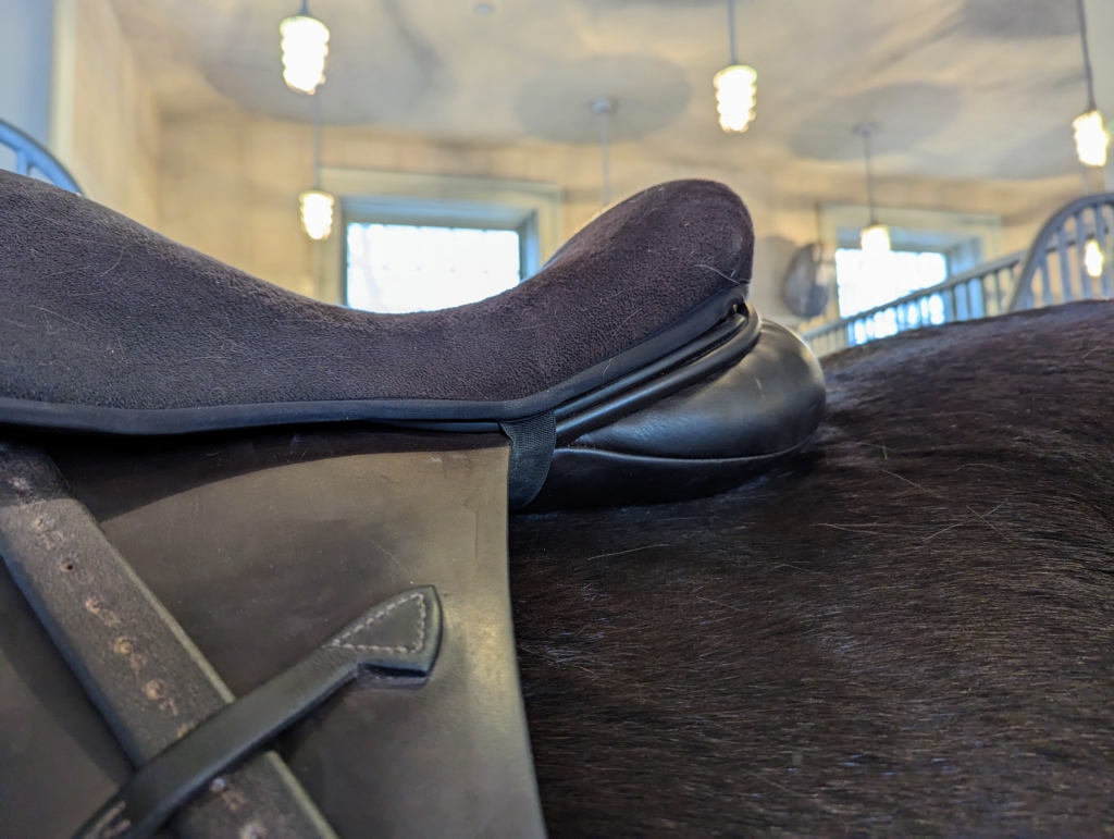 The SaddleFitter Visits the Farm The Martha Stewart Blog