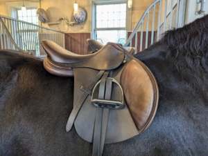 The front of the saddle should sit behind the horse’s shoulder blades, allowing good swing motion. The back of the saddle should also be the right length. And the saddle itself should rest nicely on the back. This saddle looks good on Hylke.