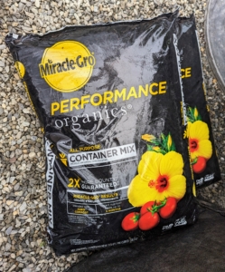 For repotting, Brian uses an appropriate soil medium. The right soil mix will help to promote faster root growth.