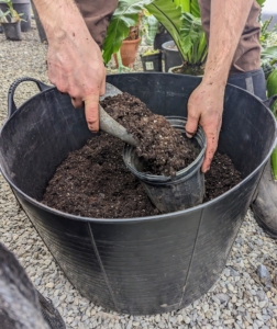 Brian first covers the bottom of the pot with the soil mixture.