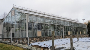 If you follow my blog regularly, you recognize this structure. It is my vegetable greenhouse located behind my large Equipment Barn and Hay Barn. The tarps are covering my dahlia tubers which are protected under bales of hay.