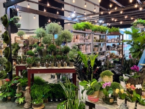 The Show is a great mix of antique, vintage, and new items for the home and garden. Many vendors came from other states, but there were also a large number right from Nashville like this booth by Creekside Garden Center - filled with indoor and outdoor plants and gardening inspirations.