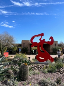 We visited on such a beautiful day. This is the Ottosen Entry Garden at the Desert Botanical Garden. This space is divided into three different gardens featuring a selection of Sonoran desert plants.