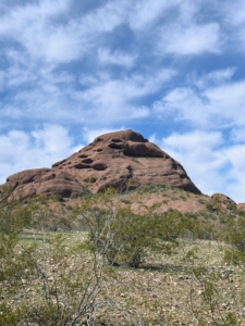 Surrounding the garden is Papago Park. This is one of the buttes of Papago Park. The word “butte” comes from a French word meaning “small hill” - not to be confused with mesas or plateaus, which typically have top surfaces that are larger than their vertical faces, while a butte is taller than it is wide.