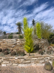 And, while they may also look like rare and beautiful cacti, the bright green plants are desert sculptures by glass artist and entrepreneur, Dale Chihuly. These florescent glass pieces look so similar in shape to the yuccas growing next to them.