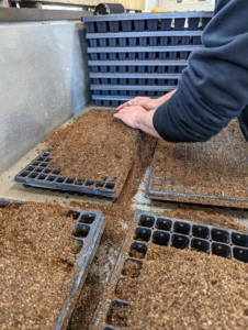 Ryan spreads the soil mix across the seed trays completely and evenly, filling all the cells of each tray.