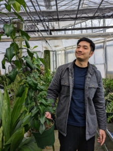 This is Eric Wang, senior sales associate at White Plains Orchids. His parents are also orchid experts and have more than 30-years experience in selling all different varieties here in New York and in the Dominican Republic.