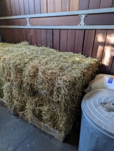 Extra hay is brought into the stable for all the equine residents.