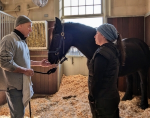 After each horse is done, Brian goes over all his findings with my stable manager, Helen Peparo.