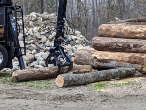 In another area, Juan places two logs perpendicular to this pile earmarked for milling. The ground logs will keep the stacked wood from rotting before they are milled into usable lumber.