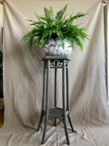 Here's Andrew's new wicker plant stand that I used to display potted plants in my Tenant House here at Bedford. Now it's home to a Boston fern in Andrew's dining room in Ottawa, Canada.