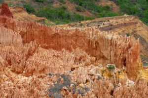 The Tsingy Rouge, the red rocks of Northern Madagascar, is among the most stunning formations of "rocks" on the planet. What looks like rock is actually the erosion of soil. (Photo by Marlon Dutoit)