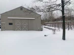 Whenever it snows, it's a rush to get photos before everyone starts arriving at the farm for work. On this morning, the farm was covered with about seven inches of beautiful white snow. Here is an image taken of the driveway in front of my Hay Barn. (Photo by Patrick Tierney)