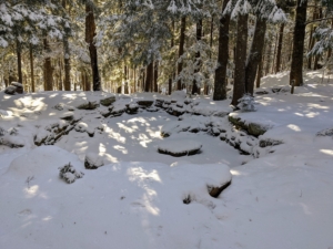 This is the larger of the two Jens Jensen–designed lost pools with its natural stone formation - now all covered with snow.