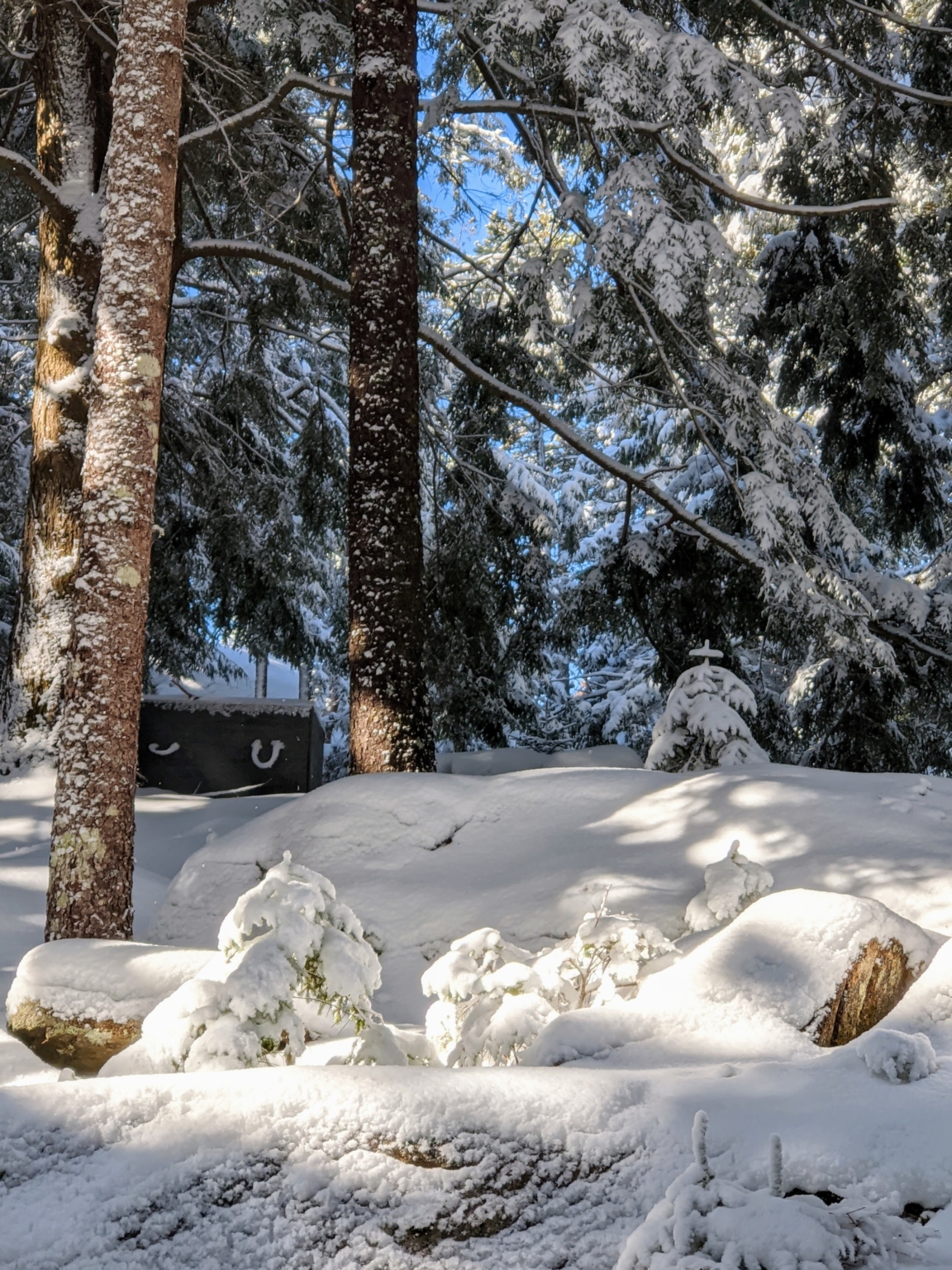 Snow Falls Over Skylands The Martha Stewart Blog